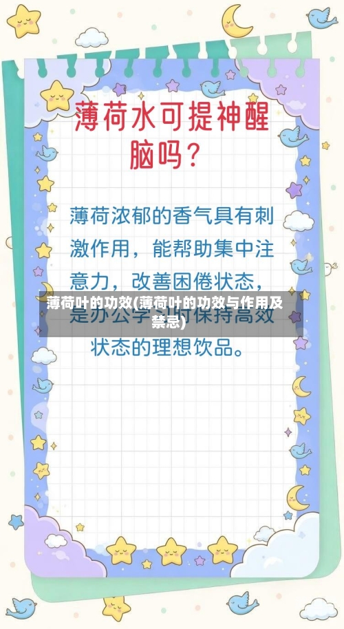 薄荷叶的功效(薄荷叶的功效与作用及禁忌)