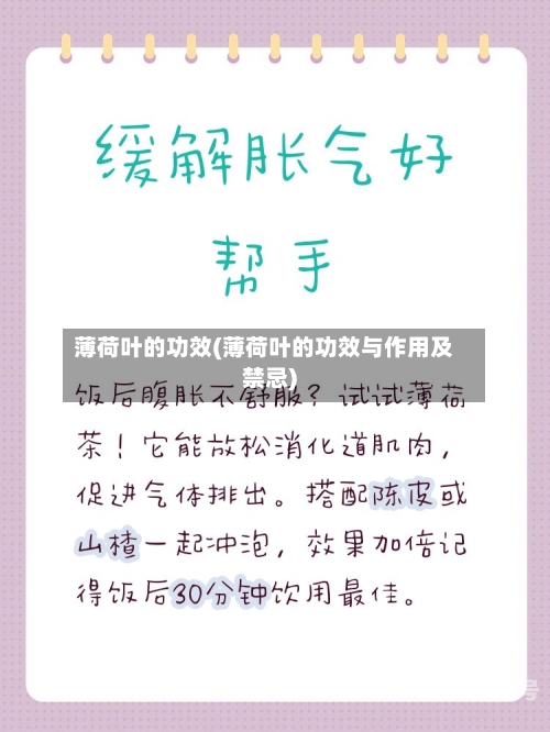 薄荷叶的功效(薄荷叶的功效与作用及禁忌)-第3张图片