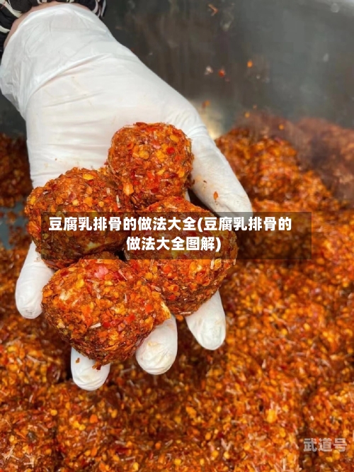 豆腐乳排骨的做法大全(豆腐乳排骨的做法大全图解)