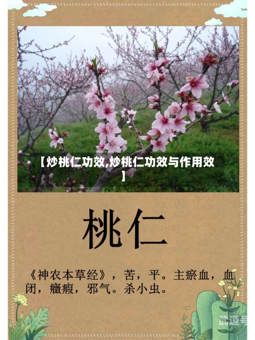 【炒桃仁功效,炒桃仁功效与作用效】