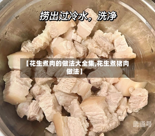 【花生煮肉的做法大全集,花生煮猪肉做法】
