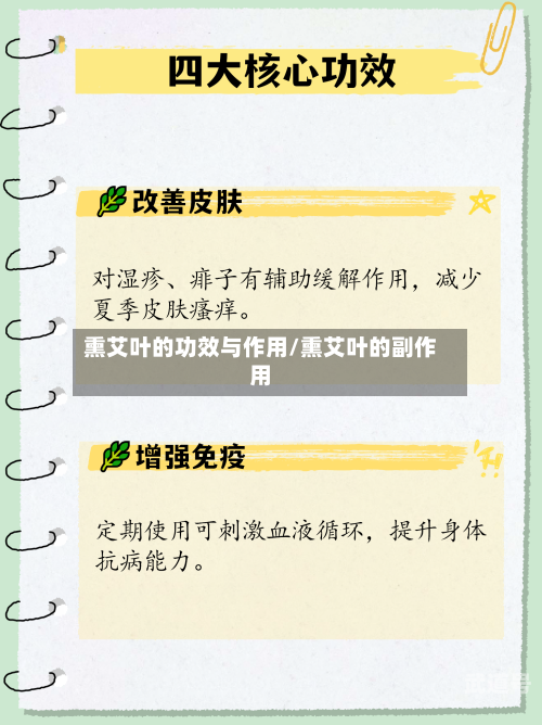 熏艾叶的功效与作用/熏艾叶的副作用