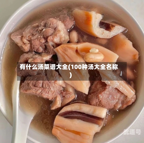 有什么汤菜谱大全(100种汤大全名称)