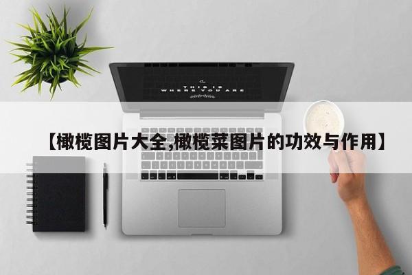 【橄榄图片大全,橄榄菜图片的功效与作用】
