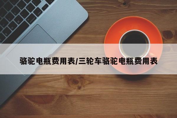 骆驼电瓶费用表/三轮车骆驼电瓶费用表