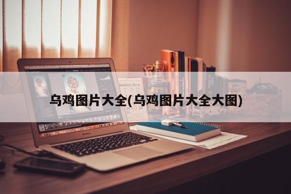 乌鸡图片大全(乌鸡图片大全大图)