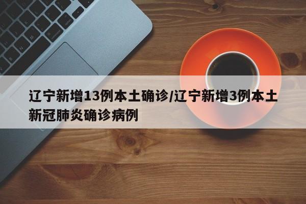 辽宁新增13例本土确诊/辽宁新增3例本土新冠肺炎确诊病例