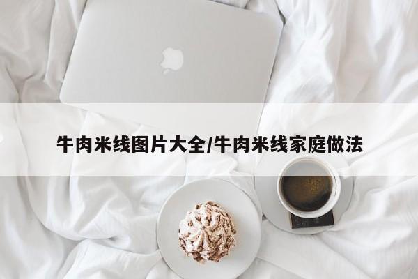 牛肉米线图片大全/牛肉米线家庭做法
