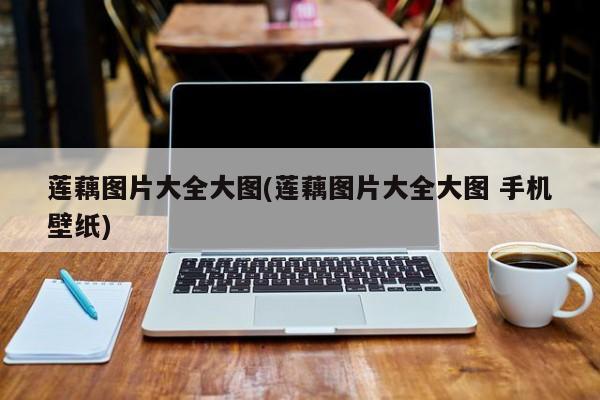 莲藕图片大全大图(莲藕图片大全大图 手机壁纸)