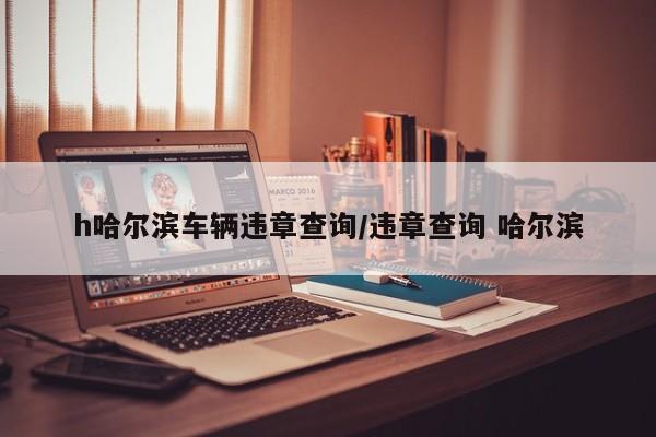 h哈尔滨车辆违章查询/违章查询 哈尔滨