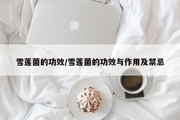 雪莲菌的功效/雪莲菌的功效与作用及禁忌