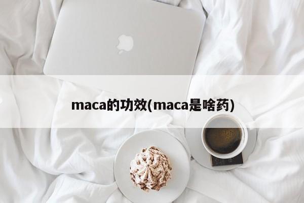 maca的功效(maca是啥药)