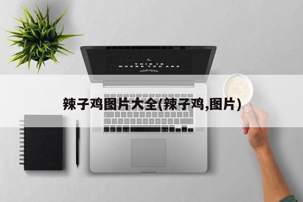 辣子鸡图片大全(辣子鸡,图片)