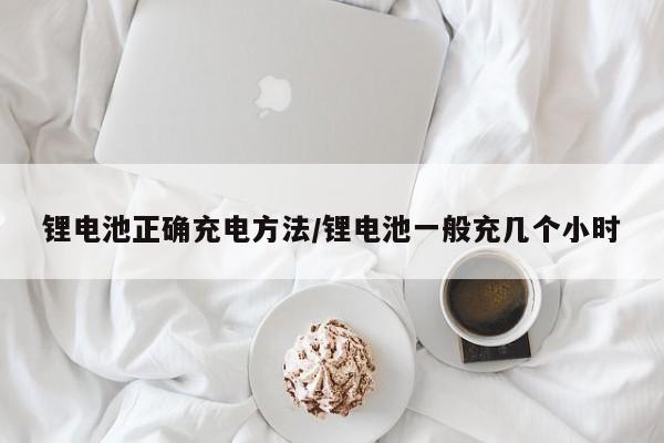 锂电池正确充电方法/锂电池一般充几个小时